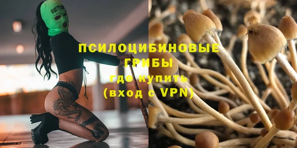 таблы Аркадак