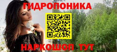 трава Кандалакша
