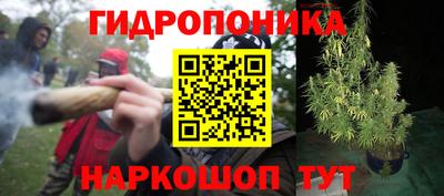 трава Кандалакша
