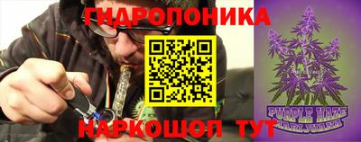 трава Кандалакша