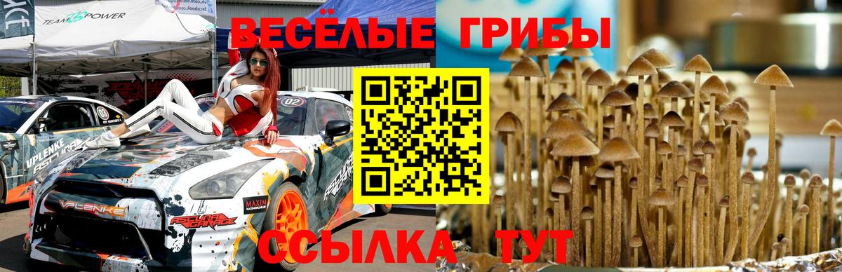 Солнечногорск  Галлюциногенные грибы мицелий  Вход с VPN 